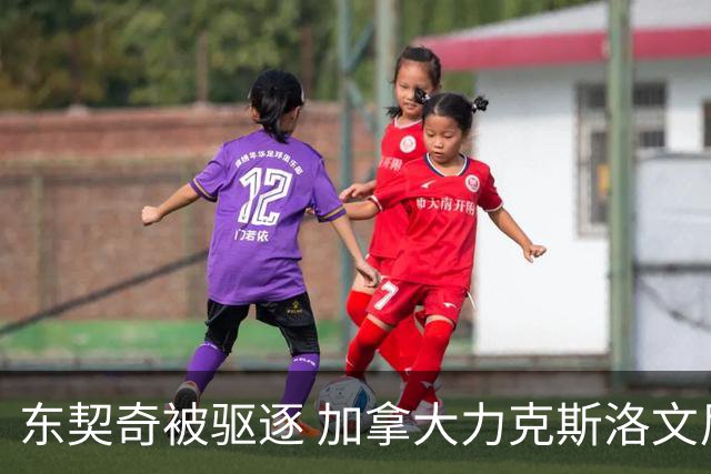东契奇被驱逐 加拿大力克斯洛文尼亚晋级四强